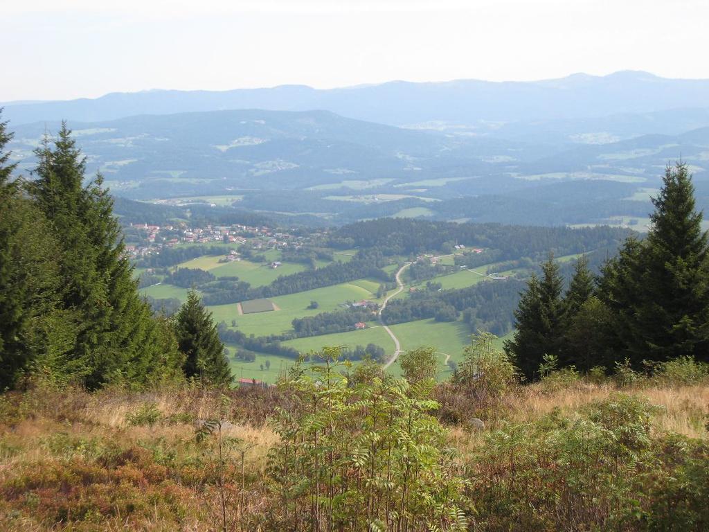 Pension Landhaus Riedelstein Drachselsried Exteriör bild