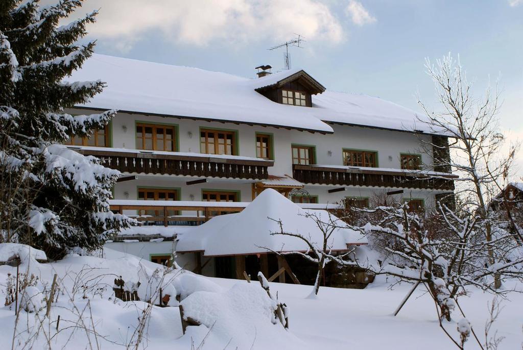 Pension Landhaus Riedelstein Drachselsried Exteriör bild